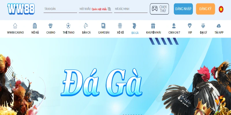 Đá gà WW88 - Tìm hiểu tổng quan về sảnh